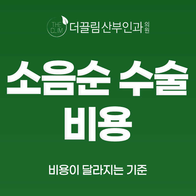 소음순수술 비용