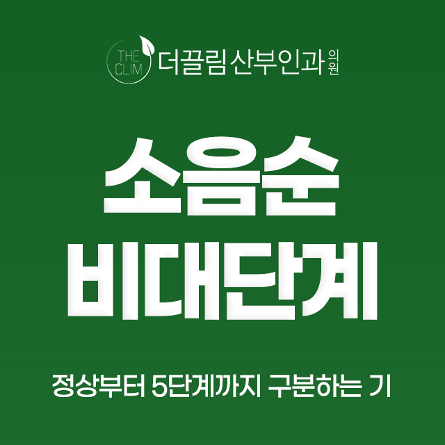 소음순 비대 단계